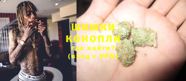 трава Балахна