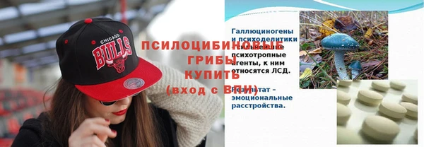 ПСИЛОЦИБИНОВЫЕ ГРИБЫ Баксан