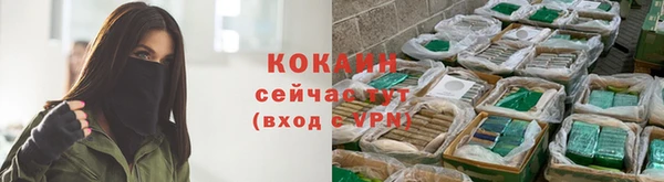 трава Балахна
