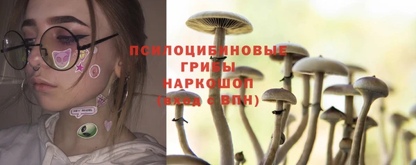 трава Балахна