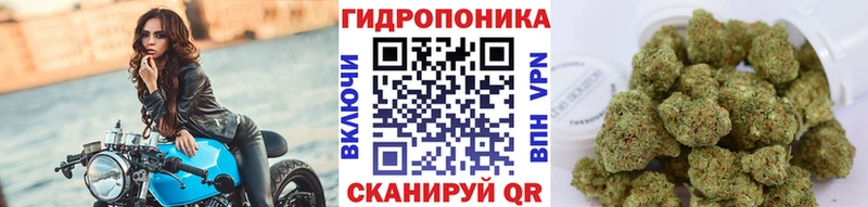 Бошки Шишки THC 21%  где продают   Ленск 